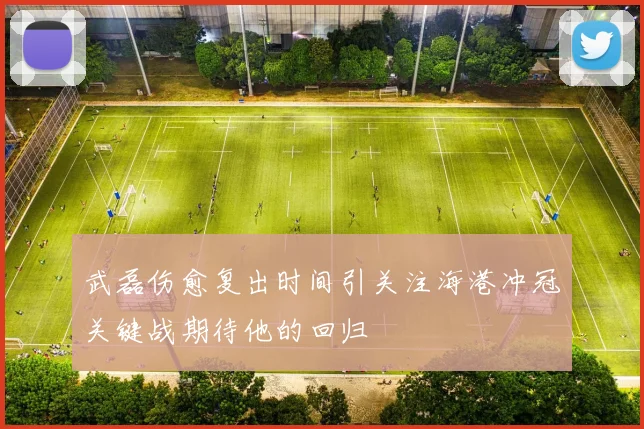 武磊伤愈复出时间引关注海港冲冠关键战期待他的回归